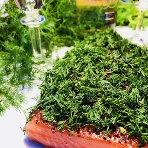 Graved-salmon--pickled-salmon--Nordic-Arctic-with-aquavit--nordic-spices-and-fresh-dill